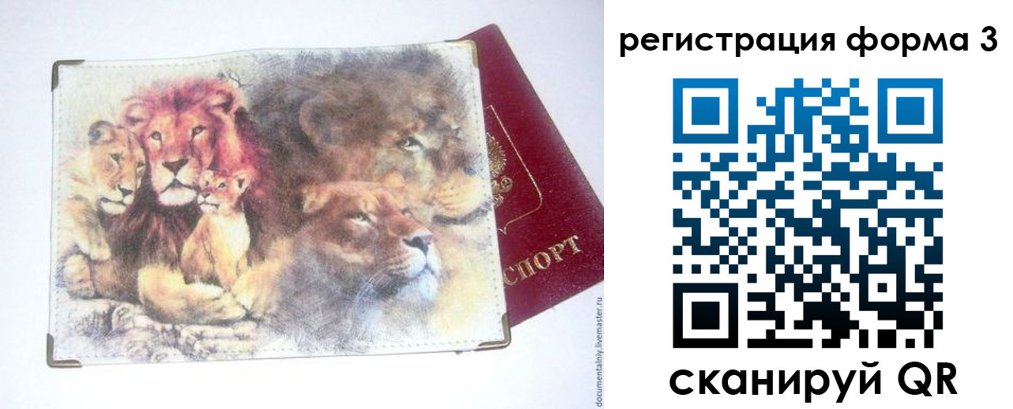 прописка в квартире в Каменке